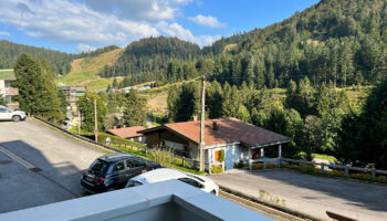 EXCLUSIF ! LA BRESSE APPARTEMENT 1 CHAMBRE BALCON JOLIE VUE