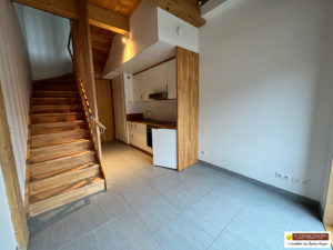 STUDIO EN DUPLEX ! CENTRE VILLE LA BRESSE !