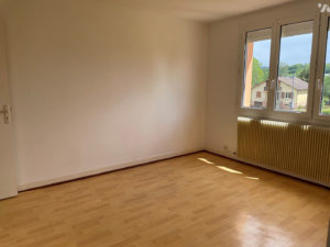 APPARTEMENT AVEC JARDIN ET GARAGE à 15 MIN DE GERARDMER ET DE BRUYERES