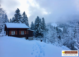 CHALET VUE PISTES – ENSOLEILLE DU MATIN AU SOIR